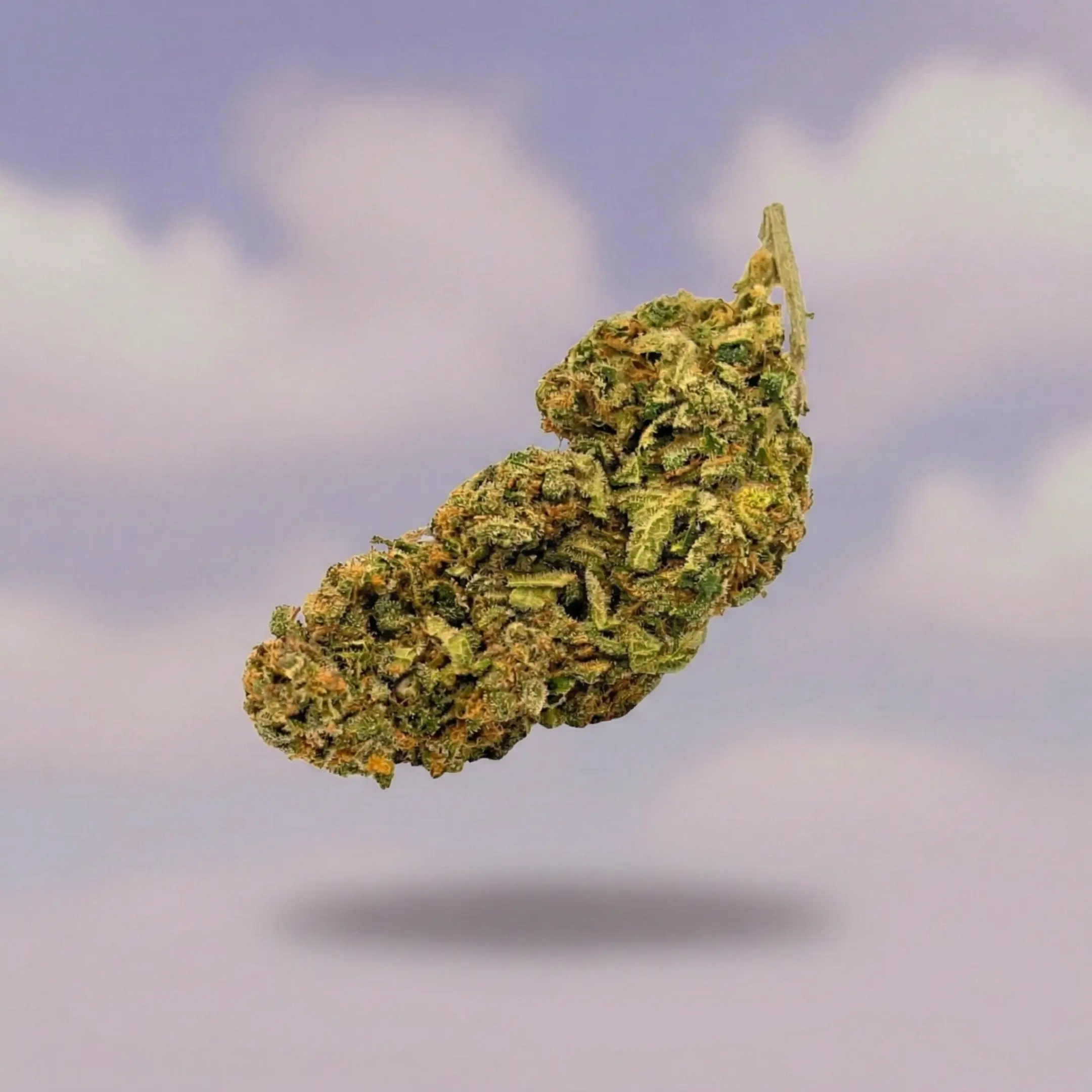 Banana Split CBD