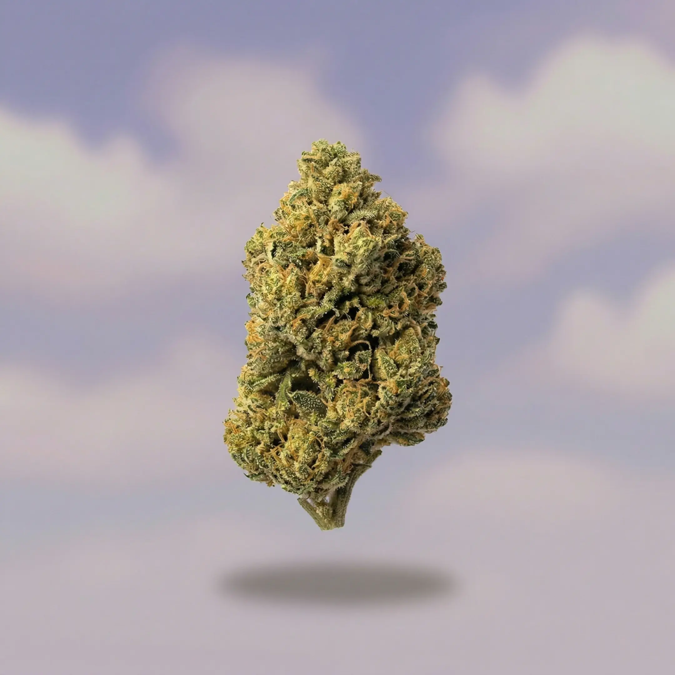 Lemonade CBD