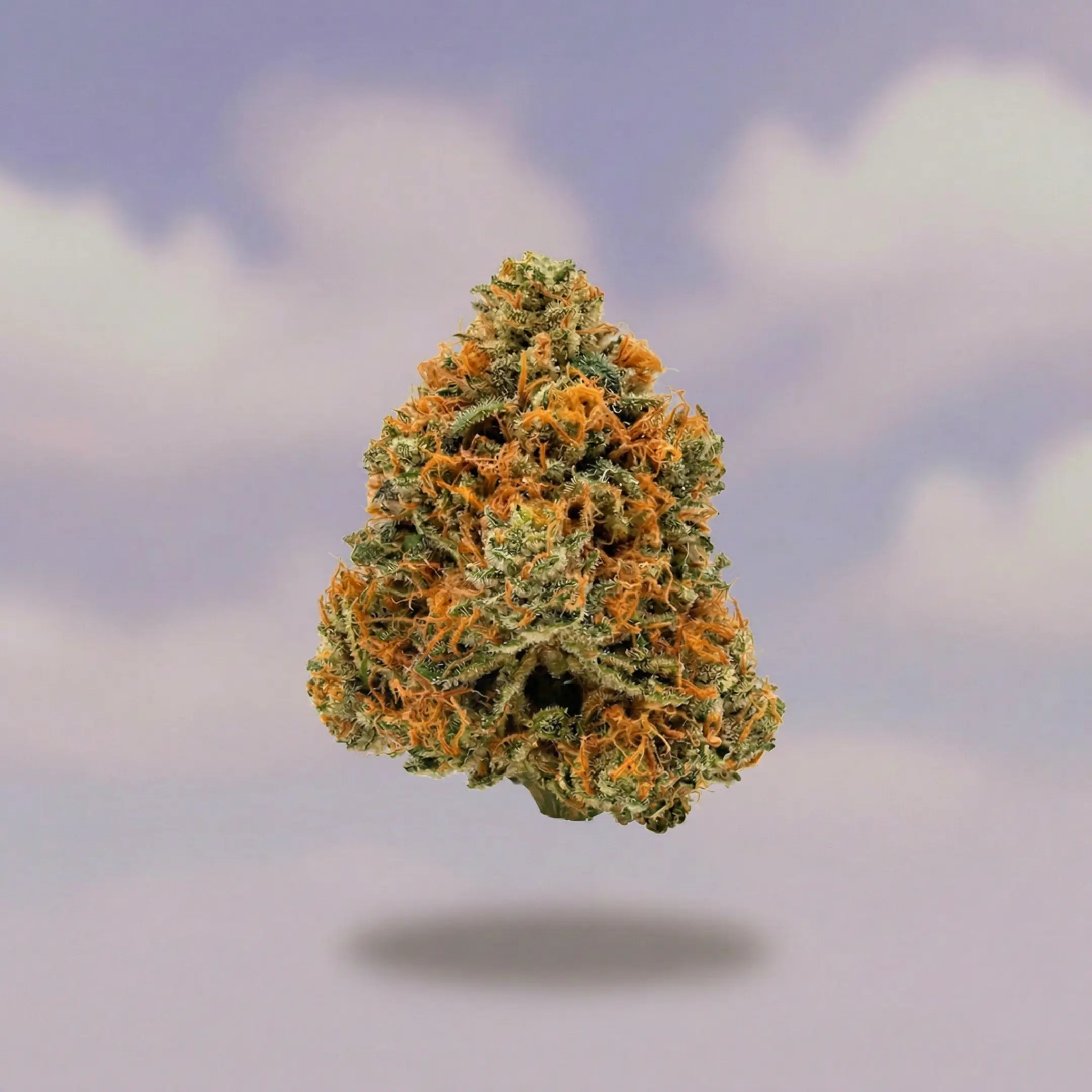Orange Juice CBD